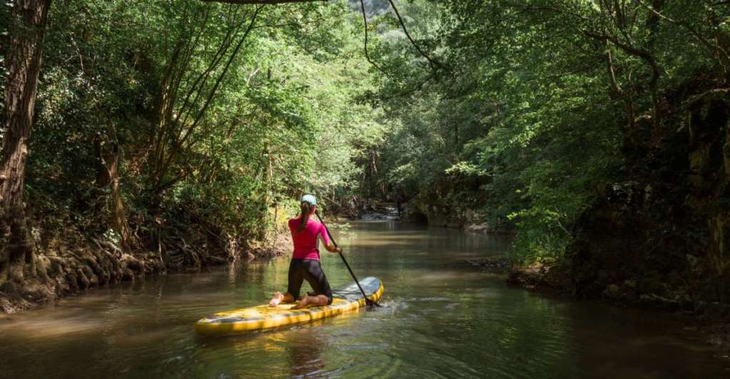 Palomino River Paddle Board Adventure